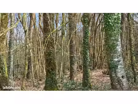 terrain non constructible avec bois sur pied