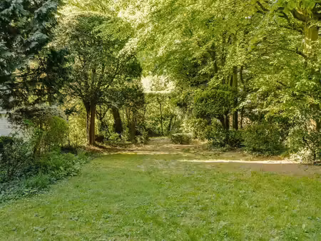 ixelles i square du bois