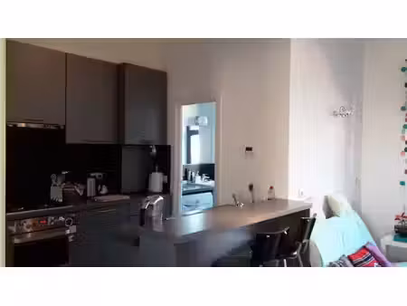 appartement 1 chambre + terrasse