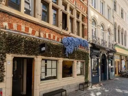 charmant duplex appartement met ruim terras op toplocatie...