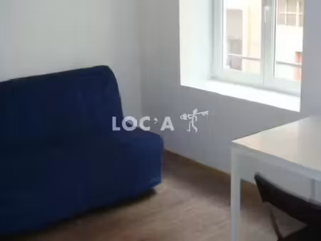 location appartement 1 pièce 24 m² à lyon 7 (69007)