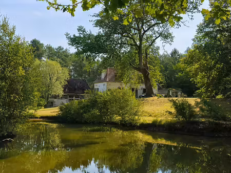 ensemble de 3 habitations sur un parc de 2ha76 avec étang!