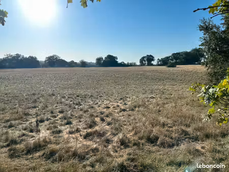 terrain agricole de 12ha