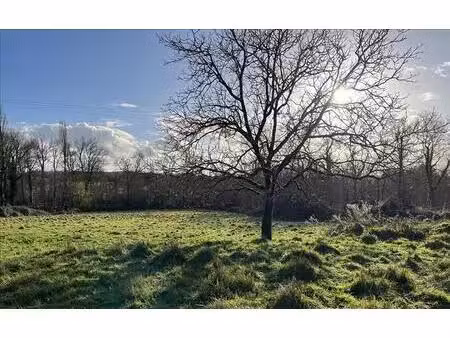 terrain à vendre
