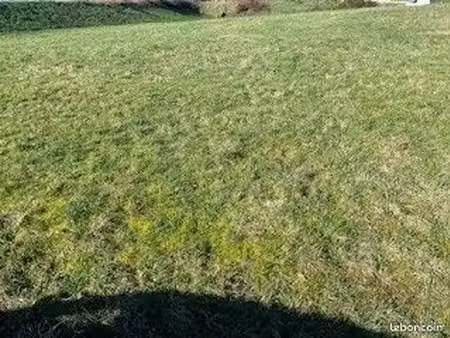 terrain 616 m² grand champ
