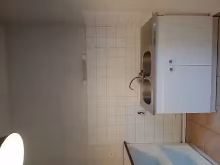 location appartement 1 pièce 37 m² à lyon 3ème (69003), 850 €