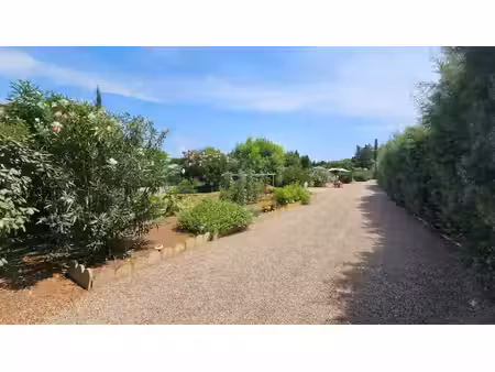 terrain de loisir
