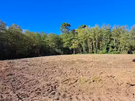 vente terrain 1025 m² à roquefort (40120), 30 000 €