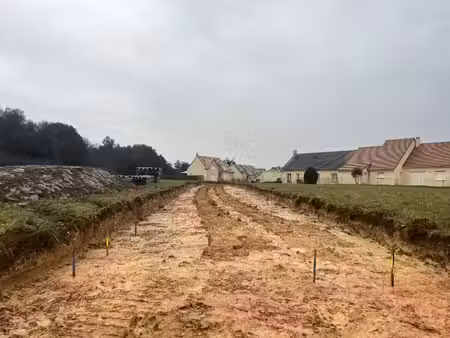 vente terrain 339 m² à sable-sur-sarthe (72300), 38 600 €