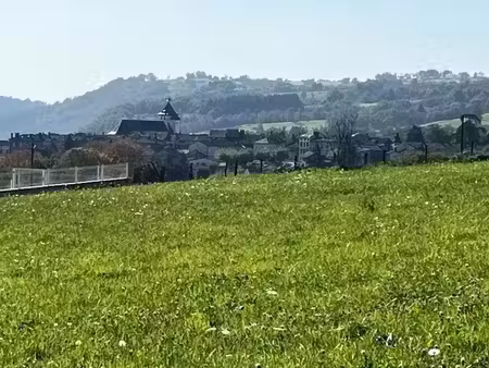 vente terrain 1650 m² à saint-etienne-de-maurs (15600), 50 000 €