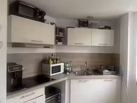 location appartement 3 pièces 60 m² à lille (59000), 790 €