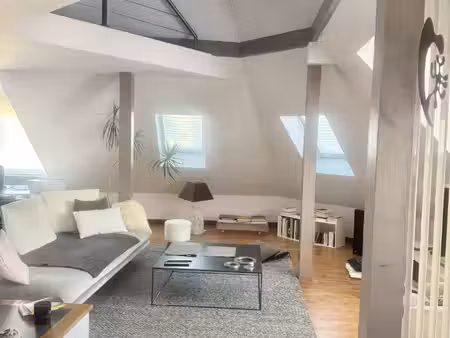 centre ville appartement luxueux