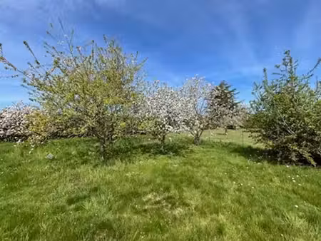 terrain 870m² à marche-en-famenne