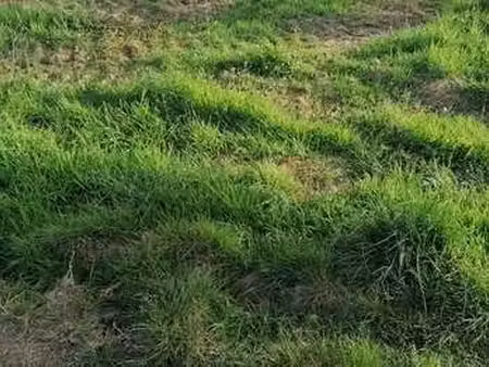 vente terrain à pontivy (56300) : à vendre / pontivy