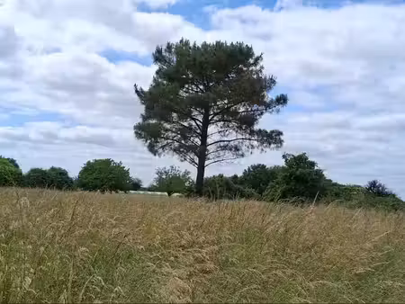 vente terrain 1738 m² à saint-pierre-d'eyraud (24130), 33 500 €