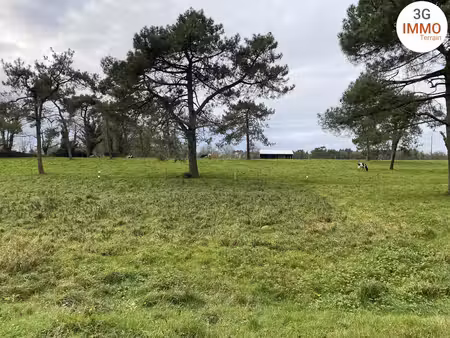 terrain constructible
