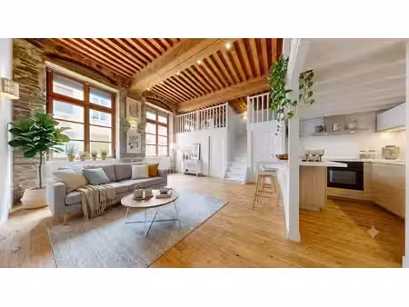 magnifique canut t2bis de 71m2 - rue d'ivry - lyon 4