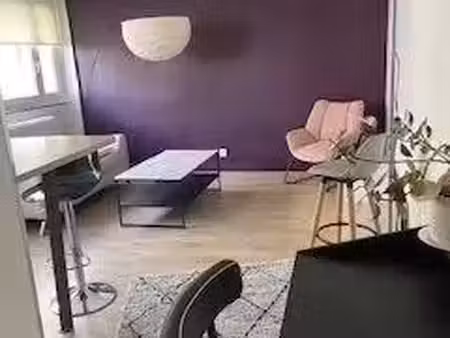 location meublée appartement 2 pièces 41 m² à villeurbanne (69100), 995 €