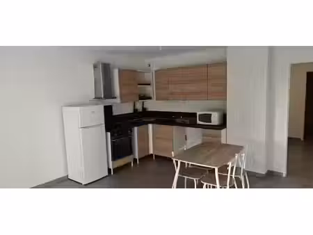 location meublée appartement 2 pièces 43 m² à villeurbanne (69100), 998 €