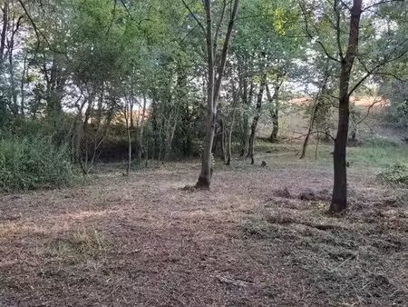 terrain de loisirs