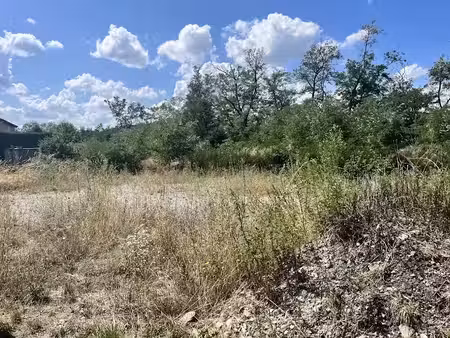 vente terrain 2334 m² à roche-la-moliere (42230), 345 000 €