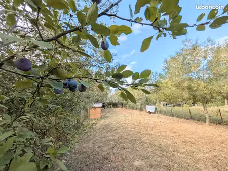 terrain de loisir arboré de 300 m² avec cabanon + eau - narbonne
