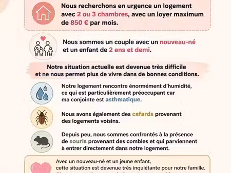 recherche maison ou appartement