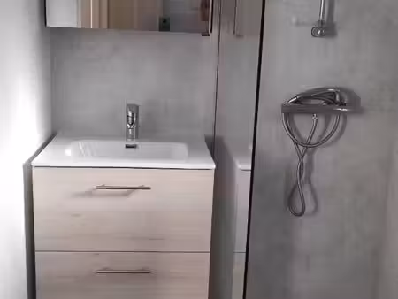 maison avec jardin