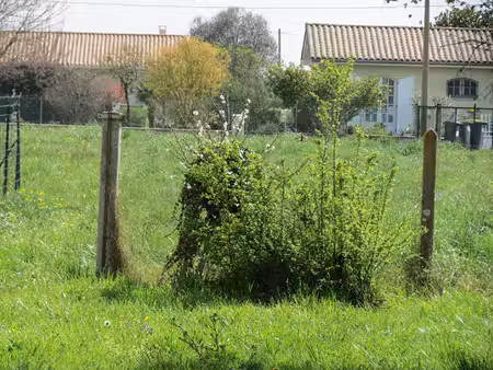 terrain de 823 m² cissac-médoc