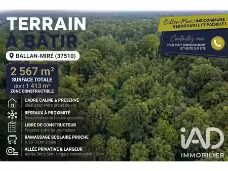 vente terrain à bâtir 2 567 m²