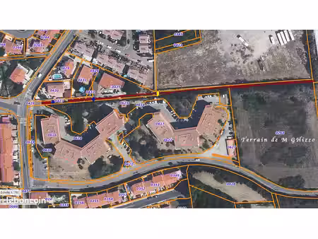 terrain 8300m² pour 2 chevaux - perpignan albert marquet