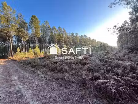 vente terrain 11400 m² à saint-léger-de-balson (33113), 12 000 €