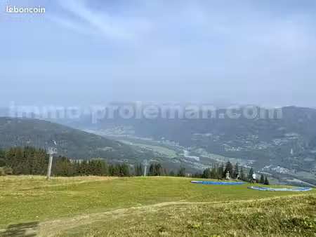 studio 1 pièce 20 m²