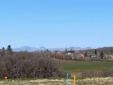 terrain 1 471 m² roannes saint mary