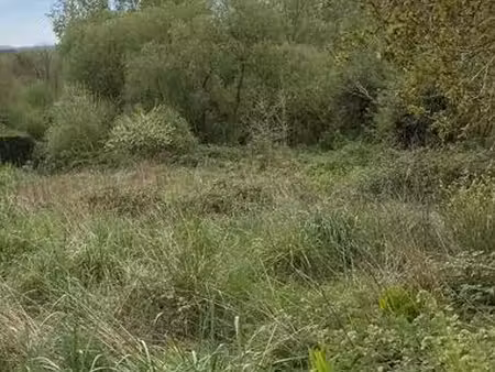 terrain 13255 m² loperhet