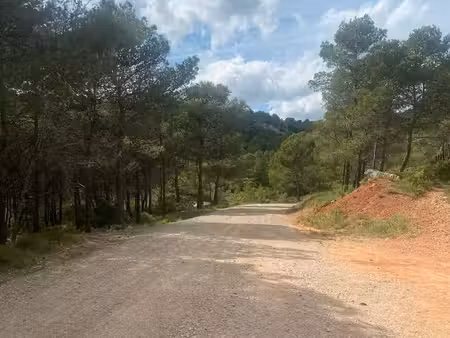 terrain agricole
