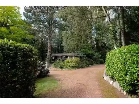 huis te koop in sint-truiden