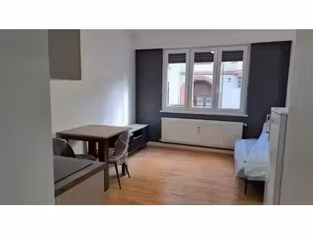 location meublée appartement 2 pièces 37 m² à strasbourg (67000), 850 €