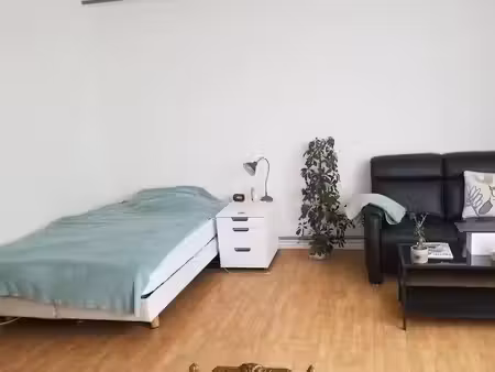 location meublée appartement 1 pièce 38 m² à lille (59000), 720 €
