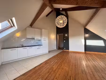 charmant appartement avec mezzanine et bureau