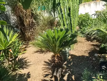 bas de villa t2 et jardin