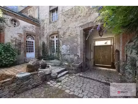 hôtel particulier chemille en anjou 13 pièce(s) 345 m2