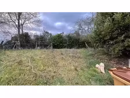terrain