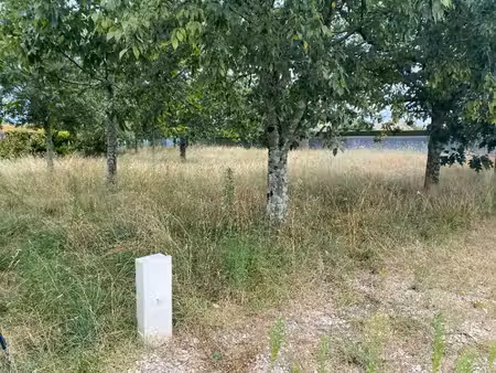 terrain à bâtir à artigues-près-bordeaux (33370)