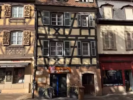 colmar centre charmant duplex