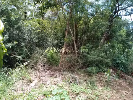 ste marie. (bois rouge). terrain plat constructible de 816 m²