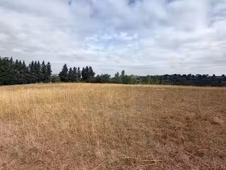vente terrain 5000 m² à vieille-toulouse (31320), 450 000 €