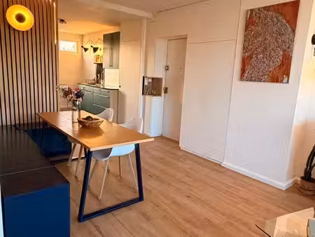 lille bois-blancs – beau t2 59 m² avec vue sur la deûle