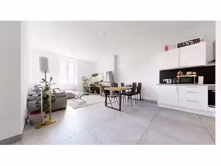 appartement t2 de 52m² - rue duquesne - lyon 6