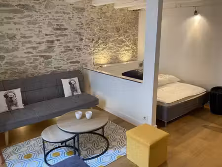 quartier château - cathédrale | studio de charme 27 m2 avec